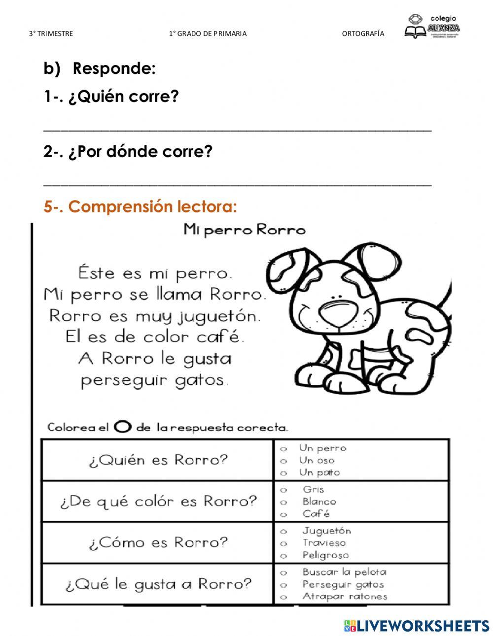 Examen de ortografía 3° bloque