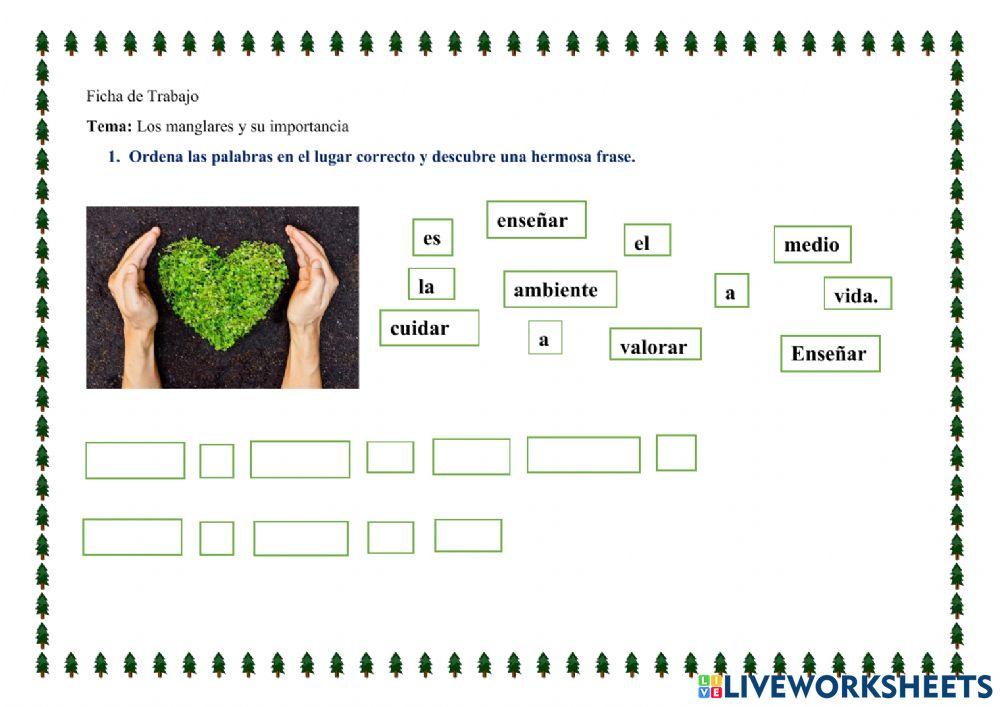 Frase sobre la importancia del cuidado del medio ambiente