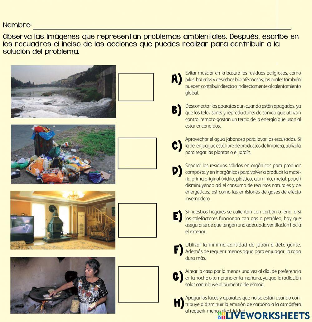 Acciones locales para preservar el ambiente