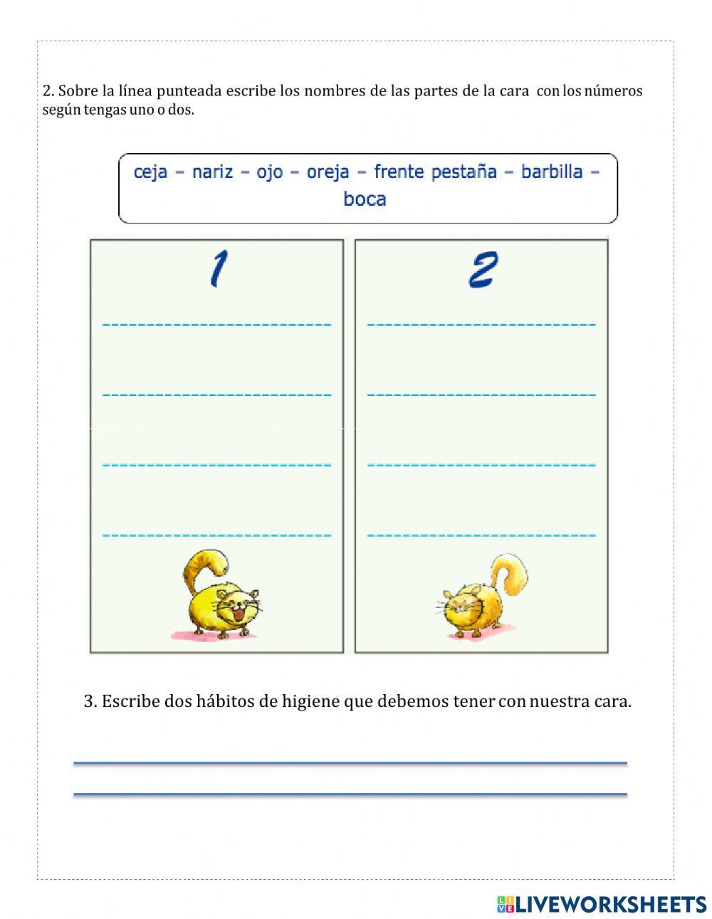 ¿Qué es el rostro?