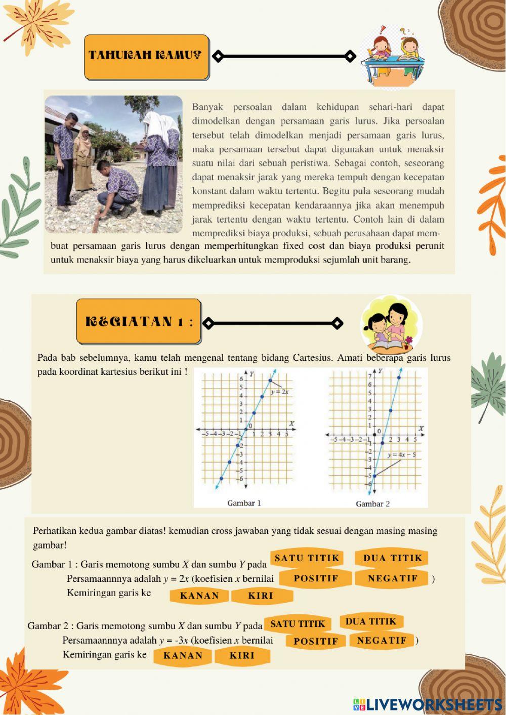 Persamaan Garis Lurus