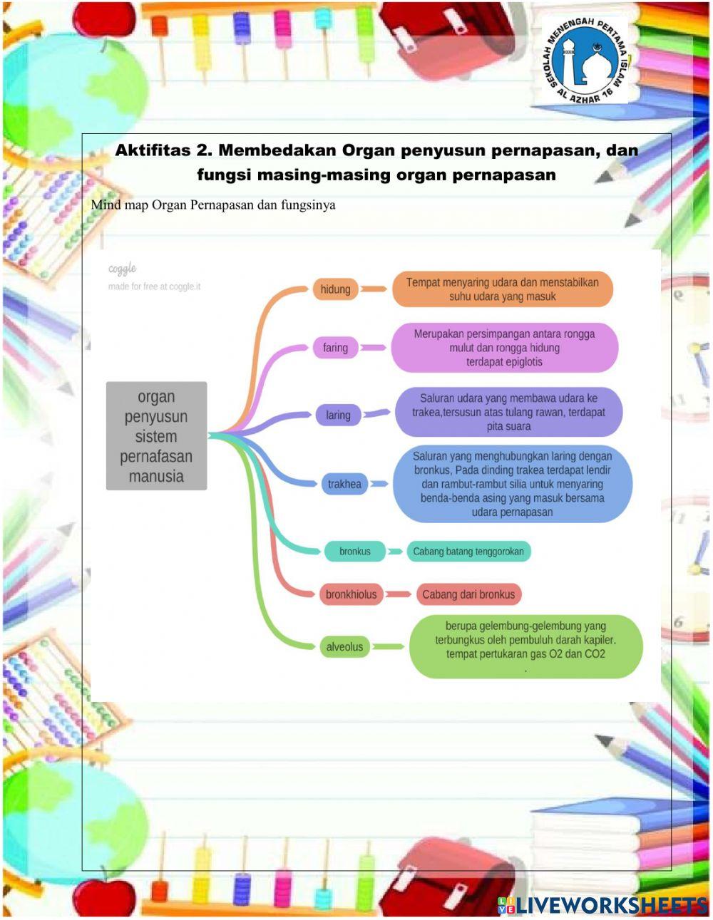 LIA OKTRIANI-sistem pernafasan