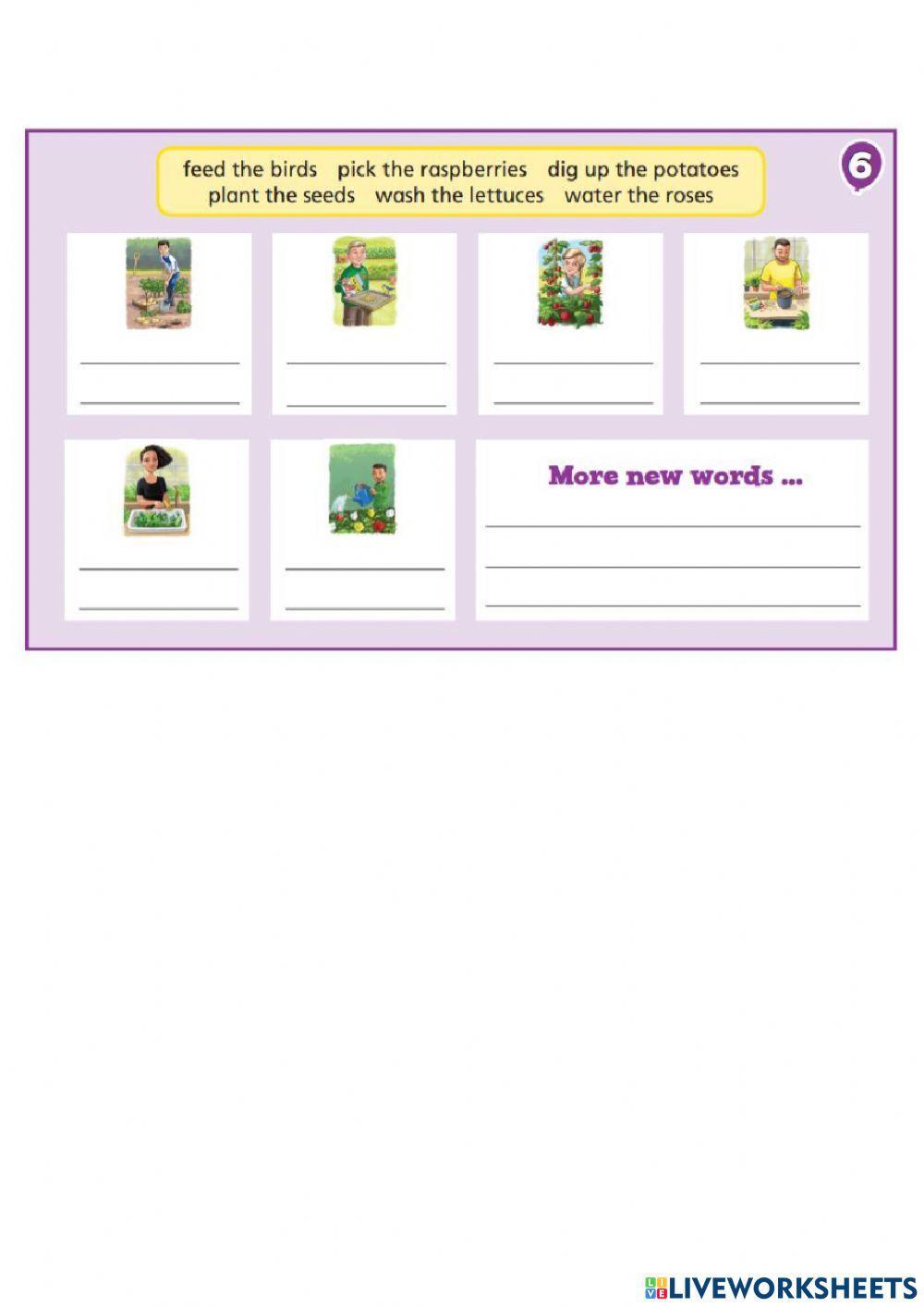 At the community garden