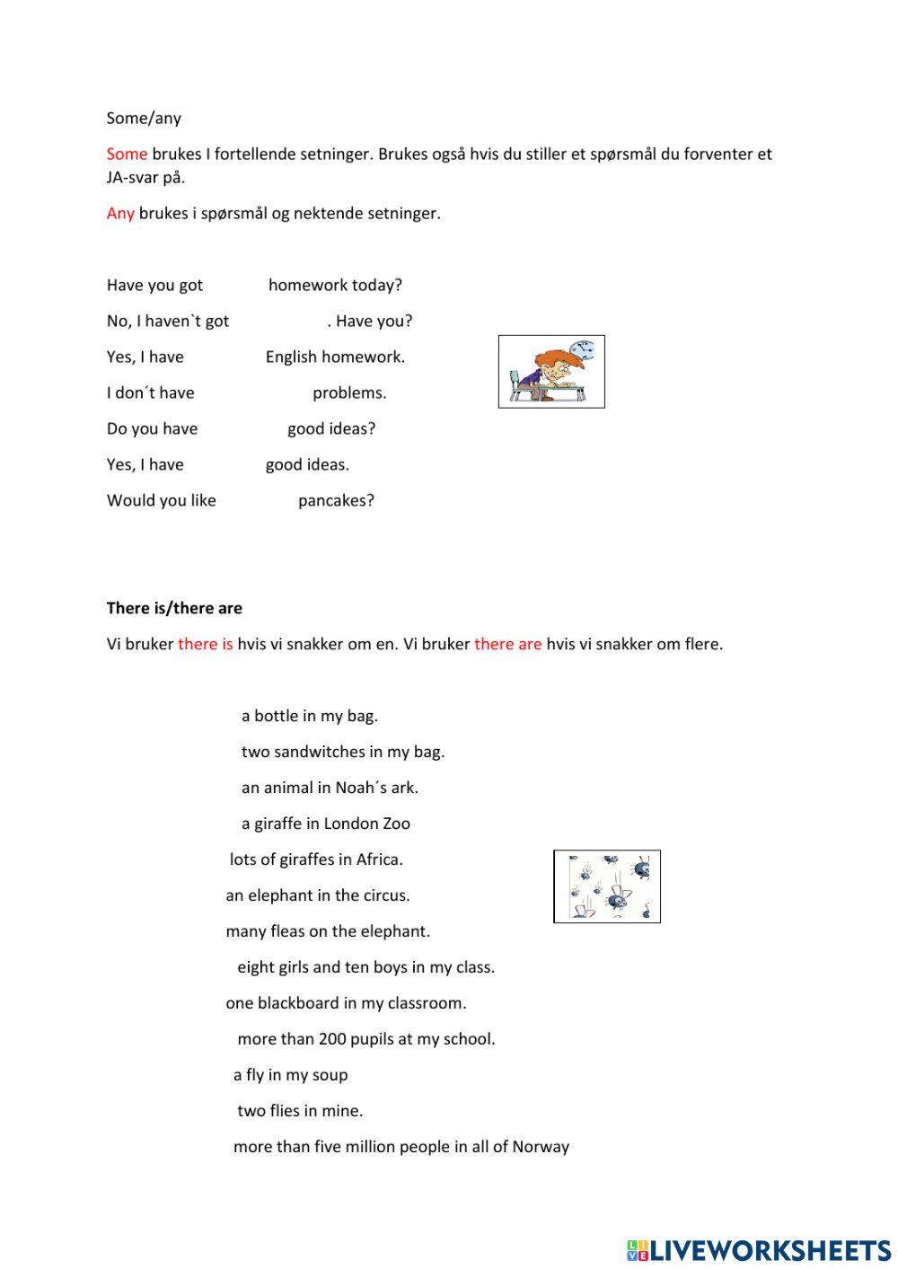 Some-any - there is-there are