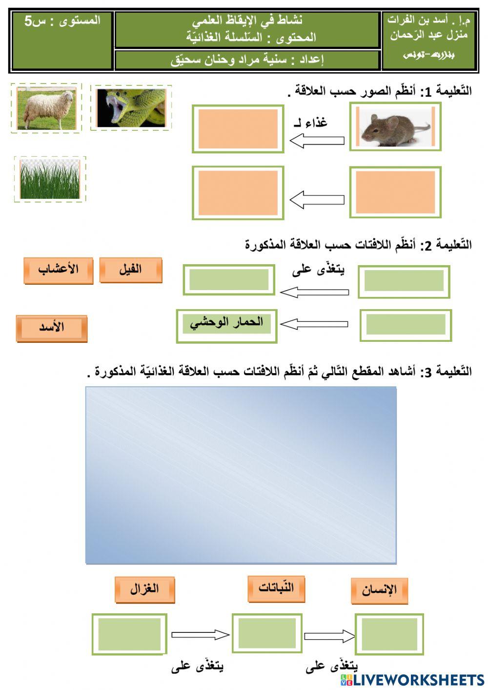 السّلسلة الغذائيّة