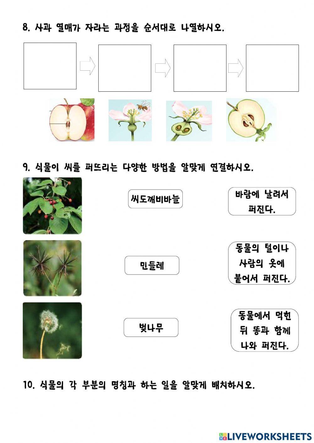 식물의 구조와 기능(초6과학)