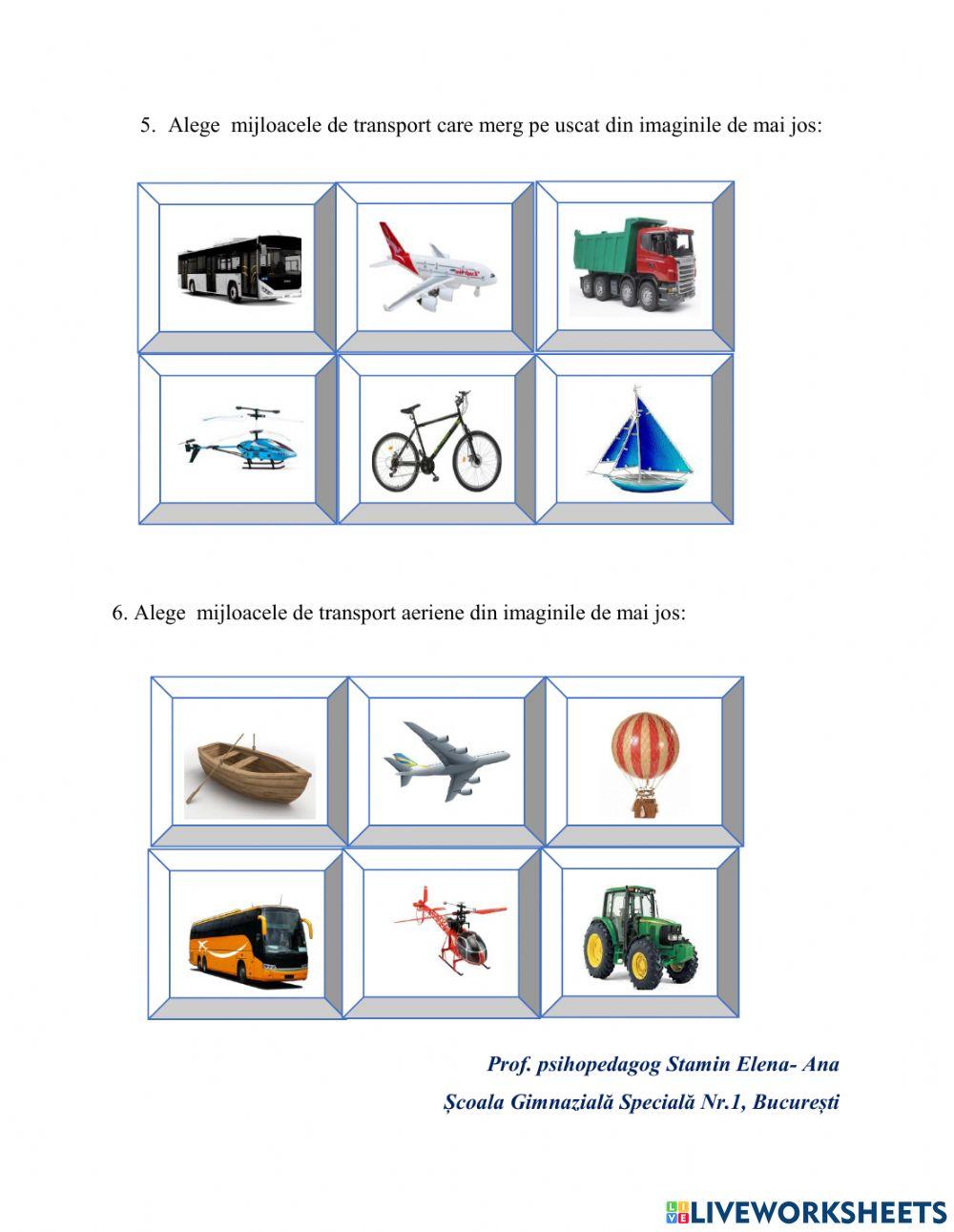 Identificarea imaginilor care fac parte dintr-o categorie