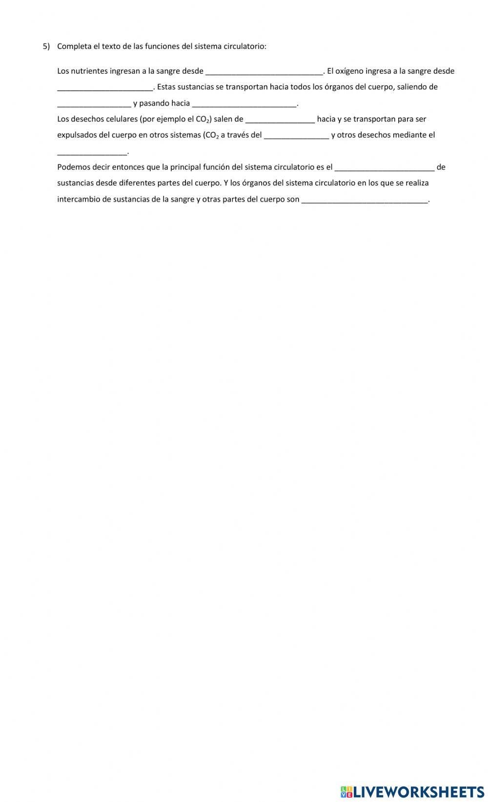 Sistema circulatorio