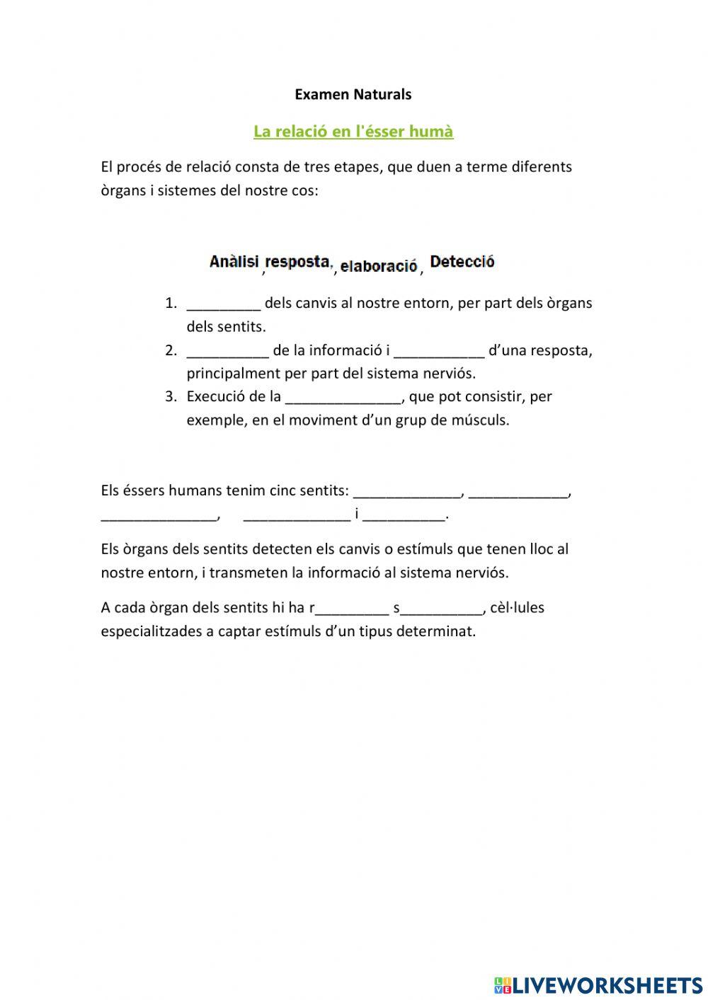 La relació amb l'èsser humà