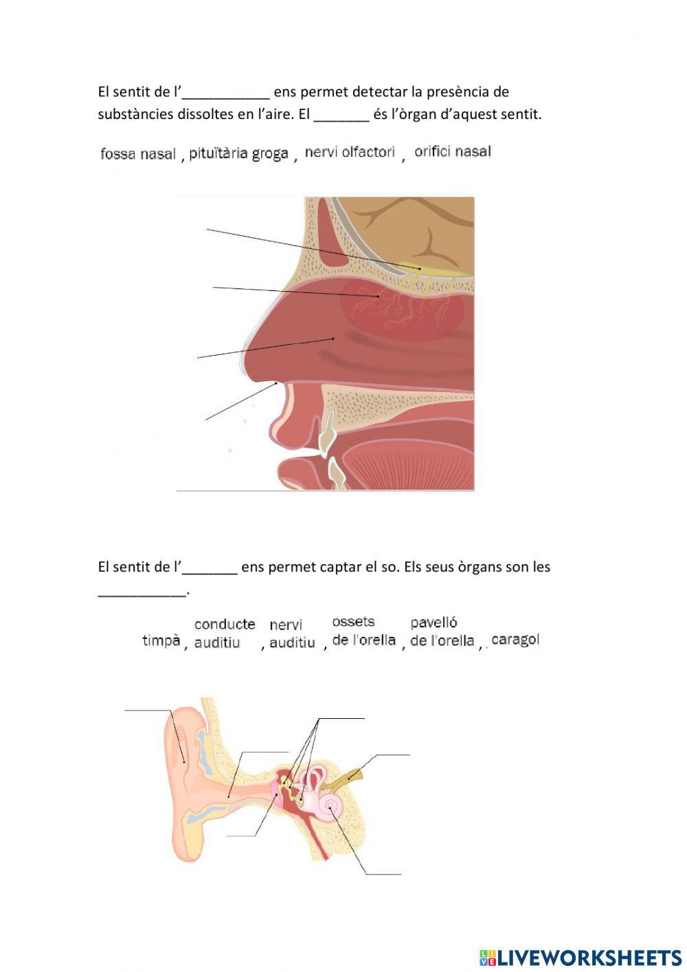 La relació amb l'èsser humà