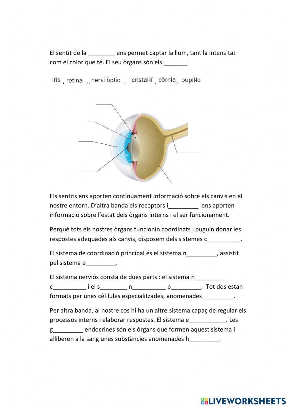 La relació amb l'èsser humà