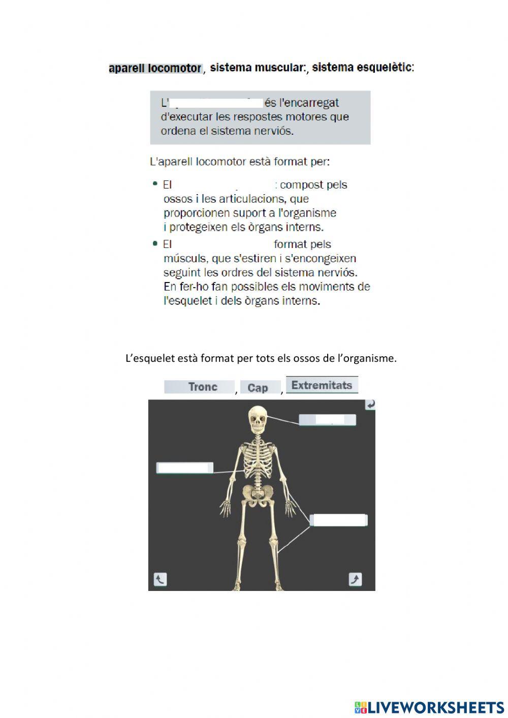 La relació amb l'èsser humà