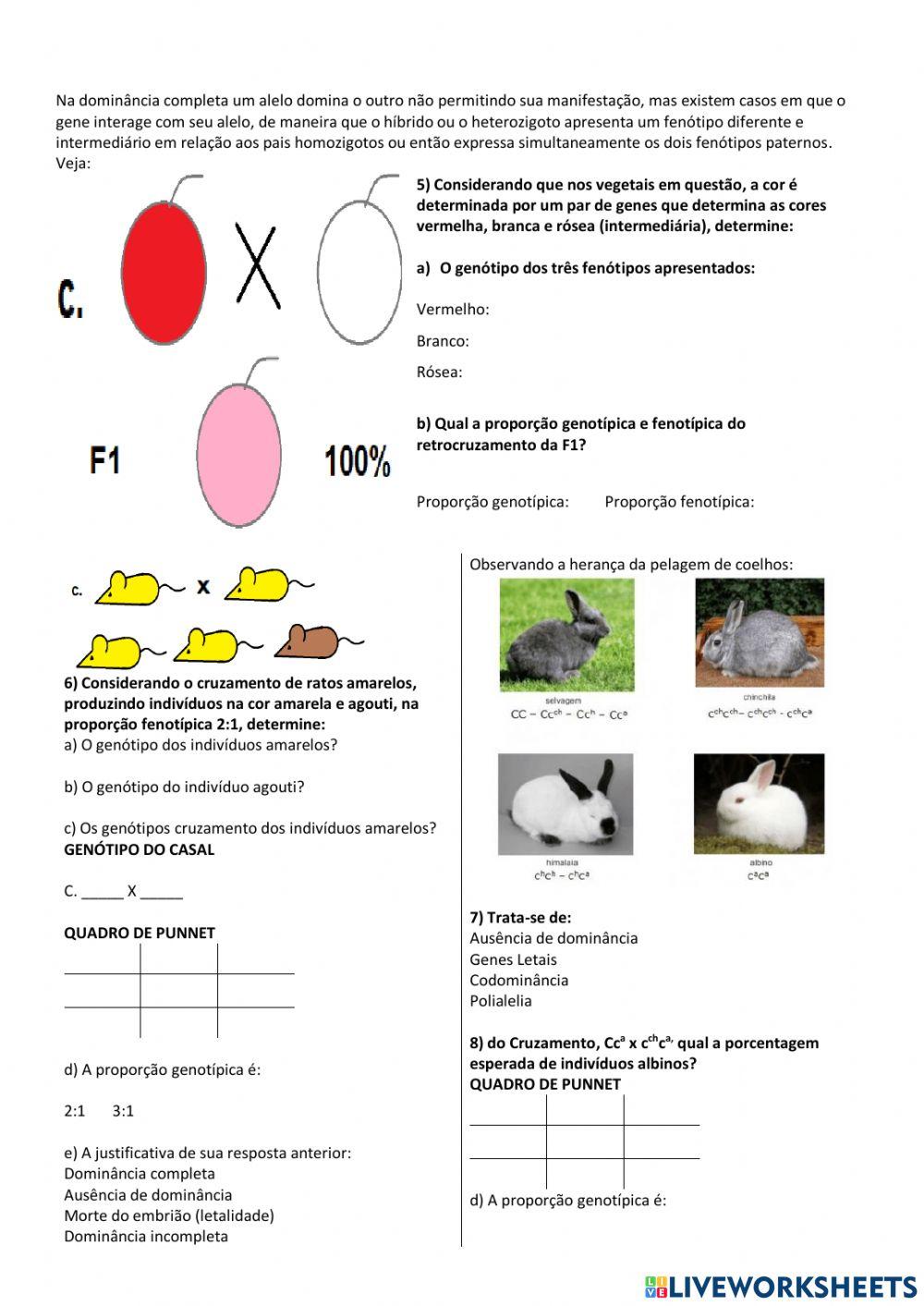 Genética 1ª Lei de Mendel: dominância, co dominância, genes letais e polialelia