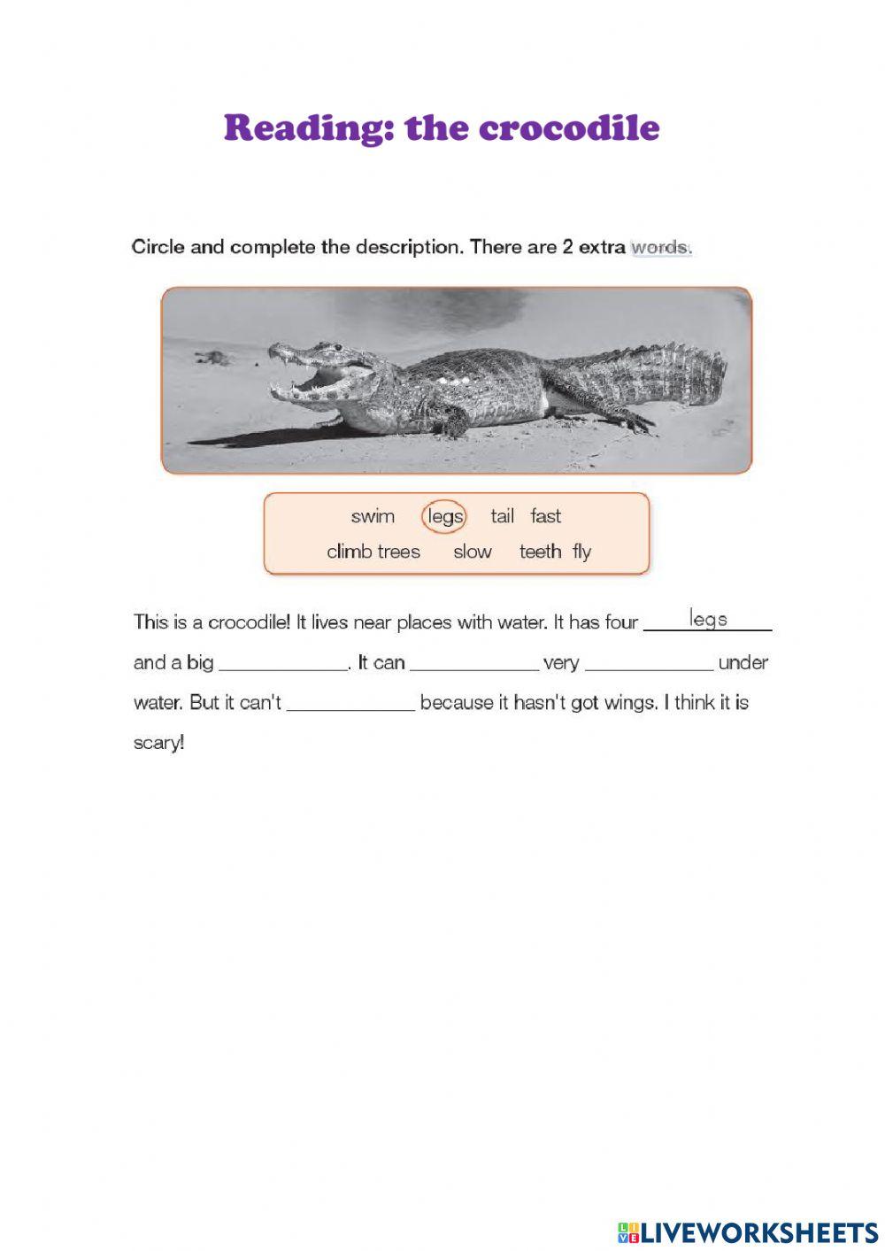 Reading the crocodile