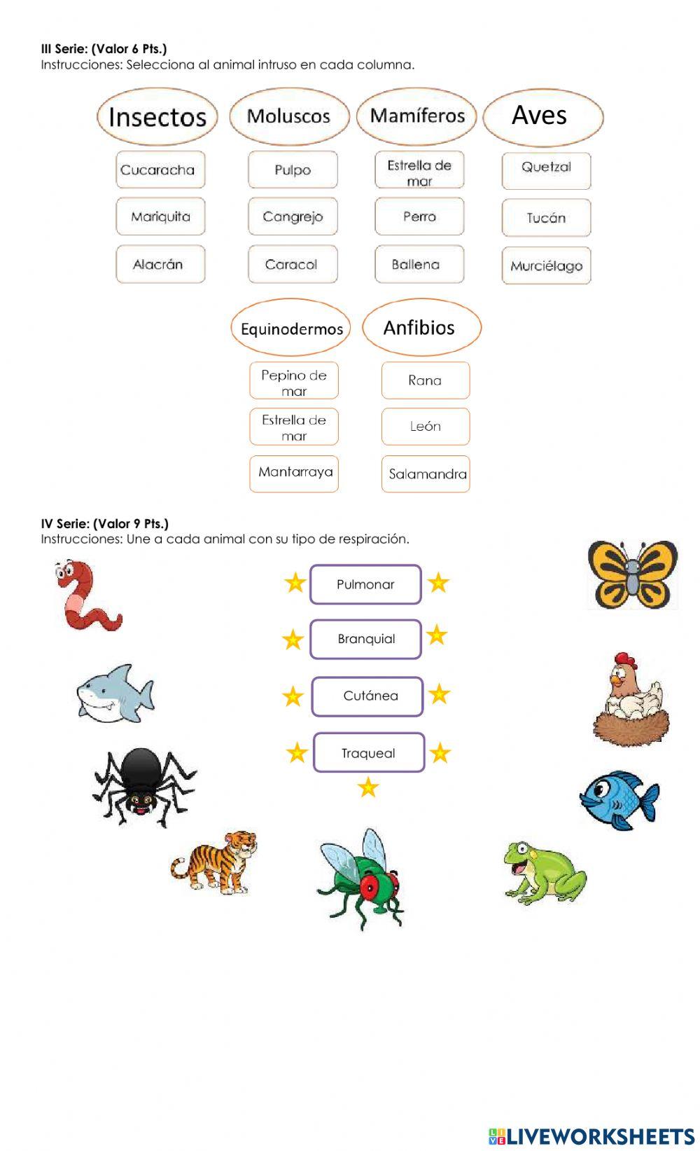 Evaluación Final II Unidad