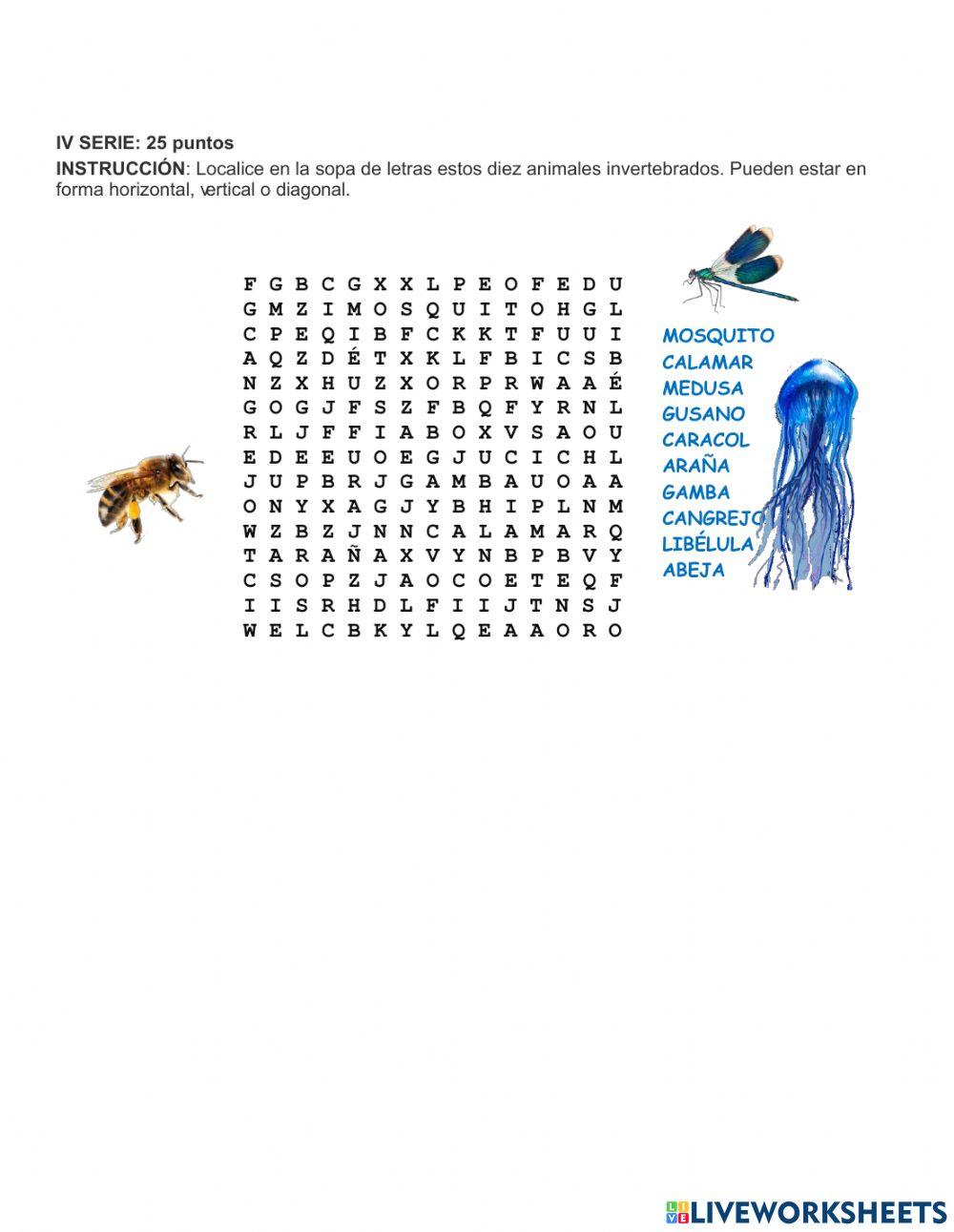 Evaluación Final 2da. Unidad Medio Social y Natural 