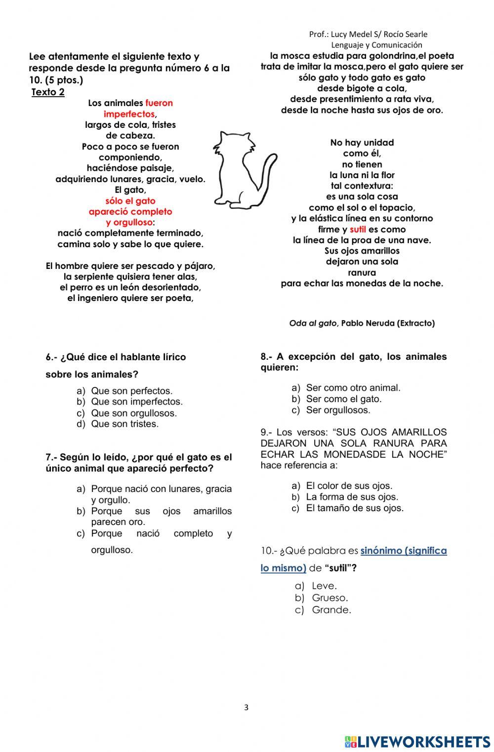 Evaluación Sumativa unidad 2