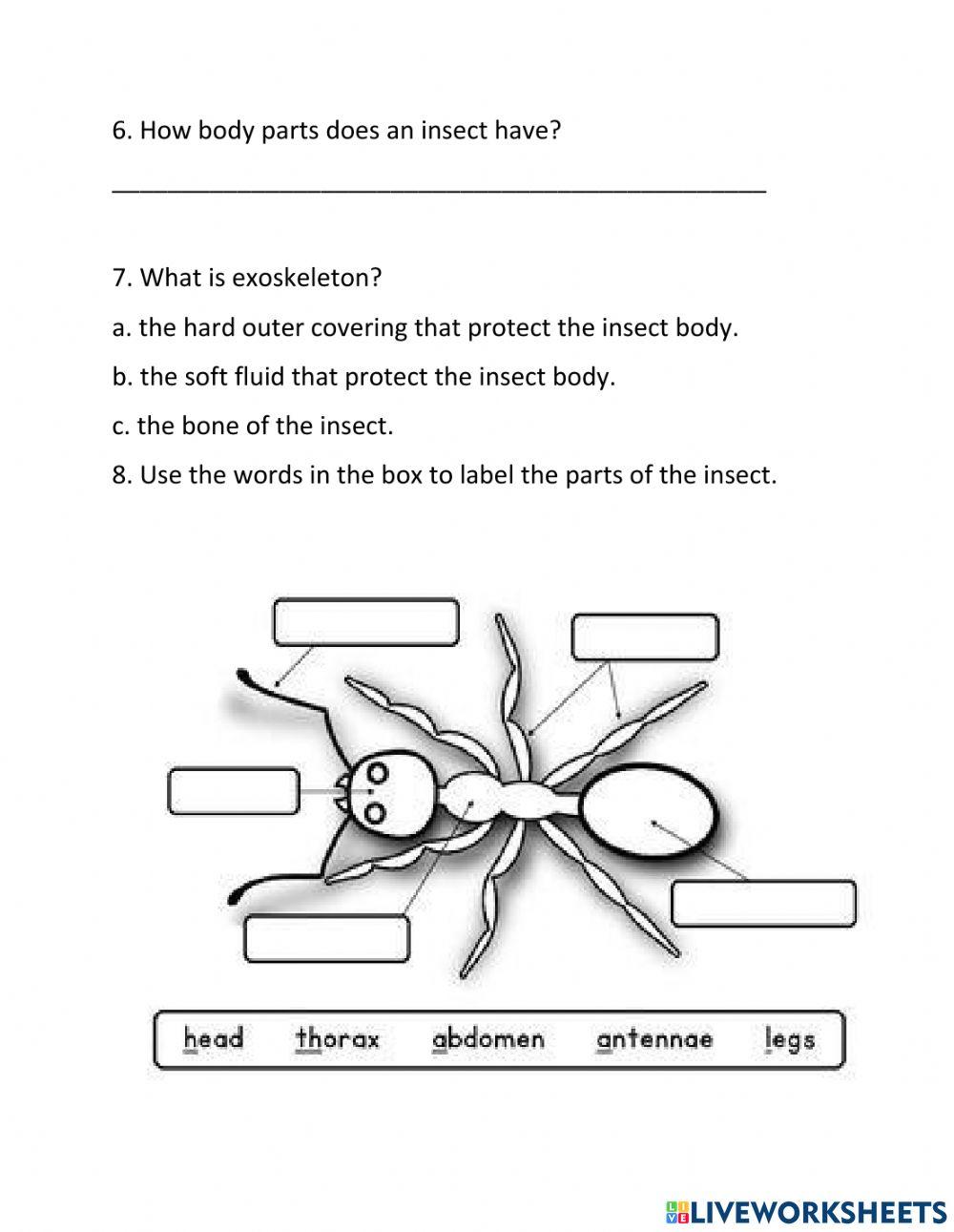 Seeds and Insect Review