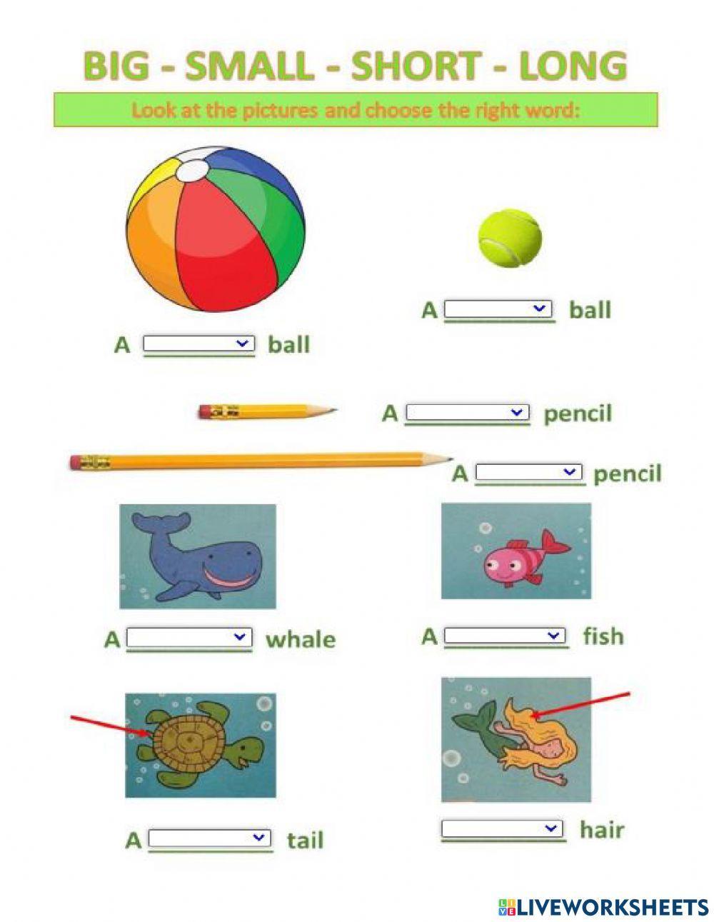 Examen bimestral segundo periodo