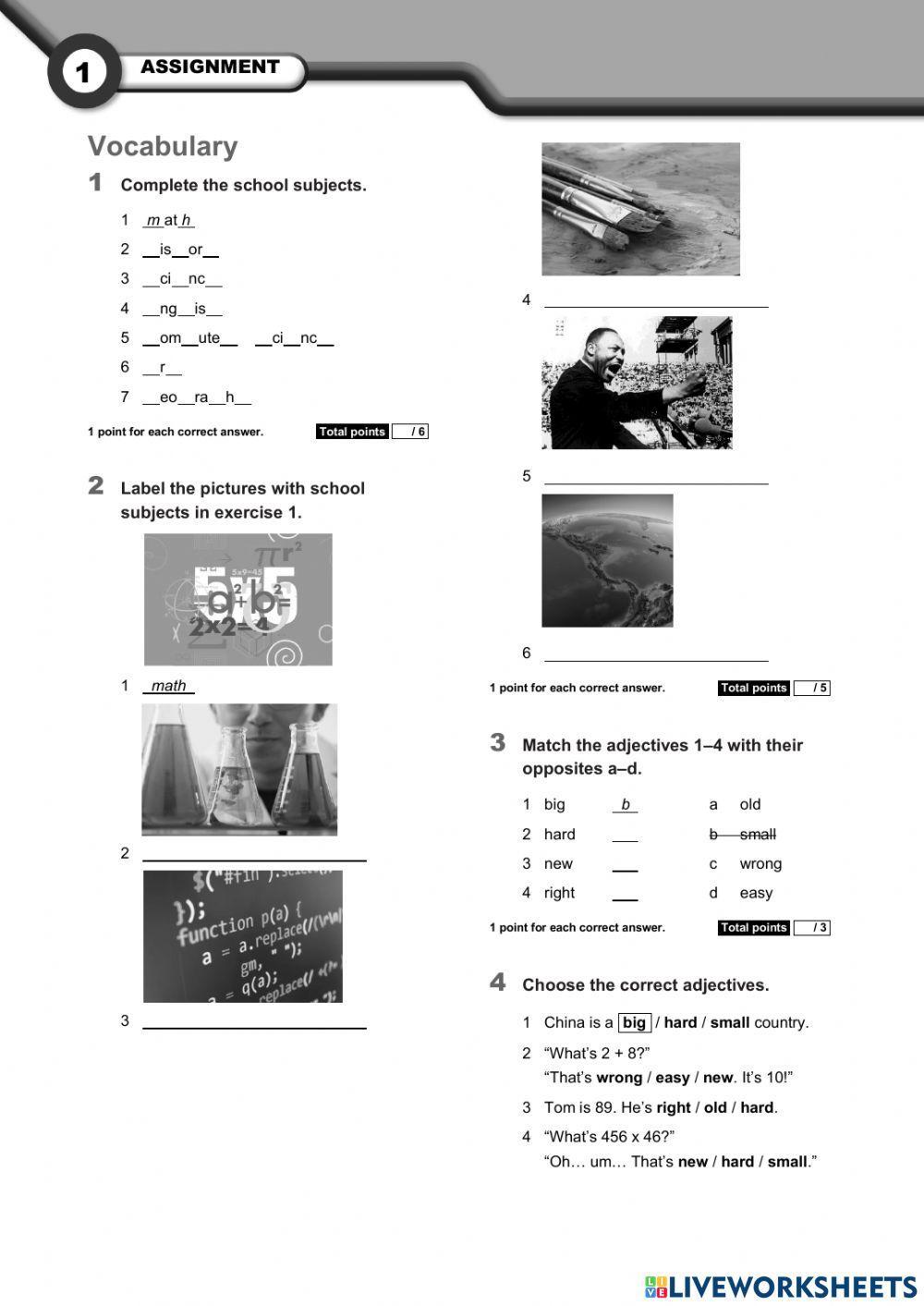 Unit 1 assignment worksheet | Live Worksheets