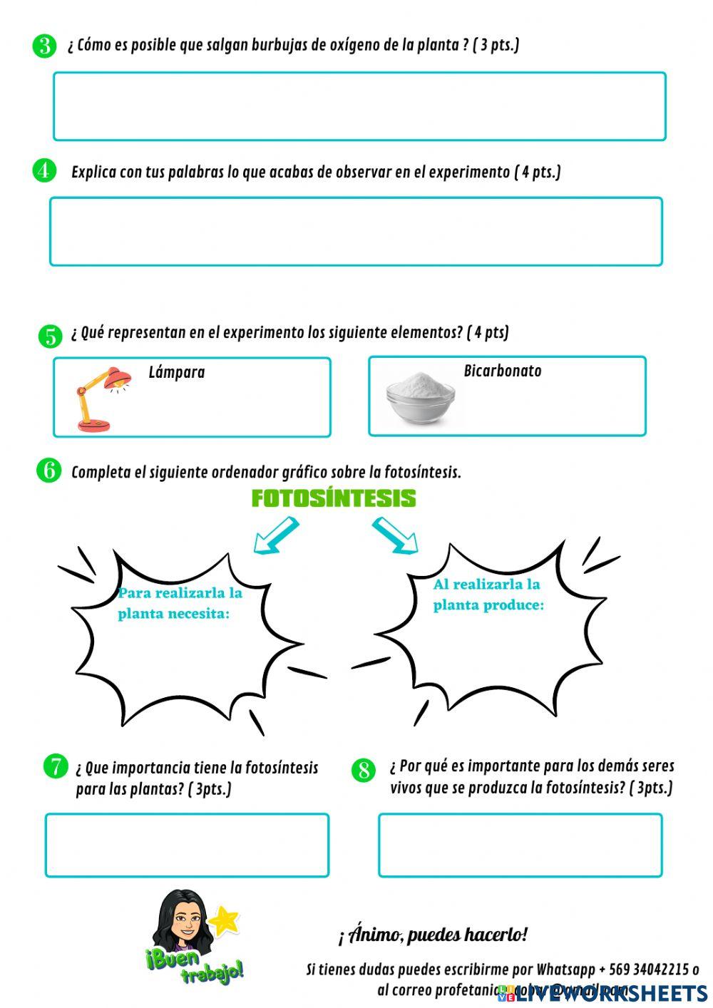 Guía N° 10- Experimento fotosíntesis.