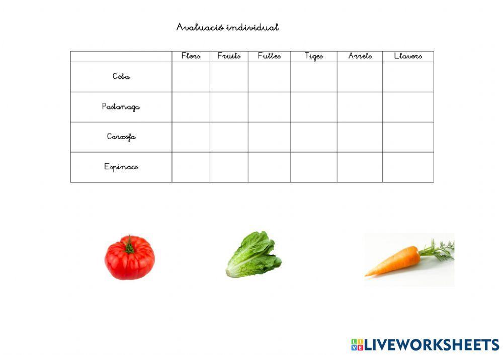 Classifico què menjo de les plantes