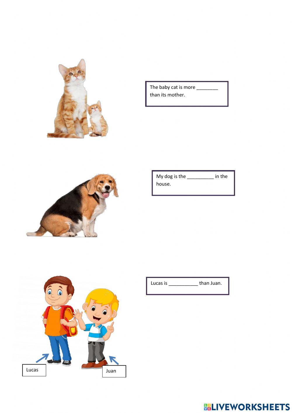 Comparatives of superiority