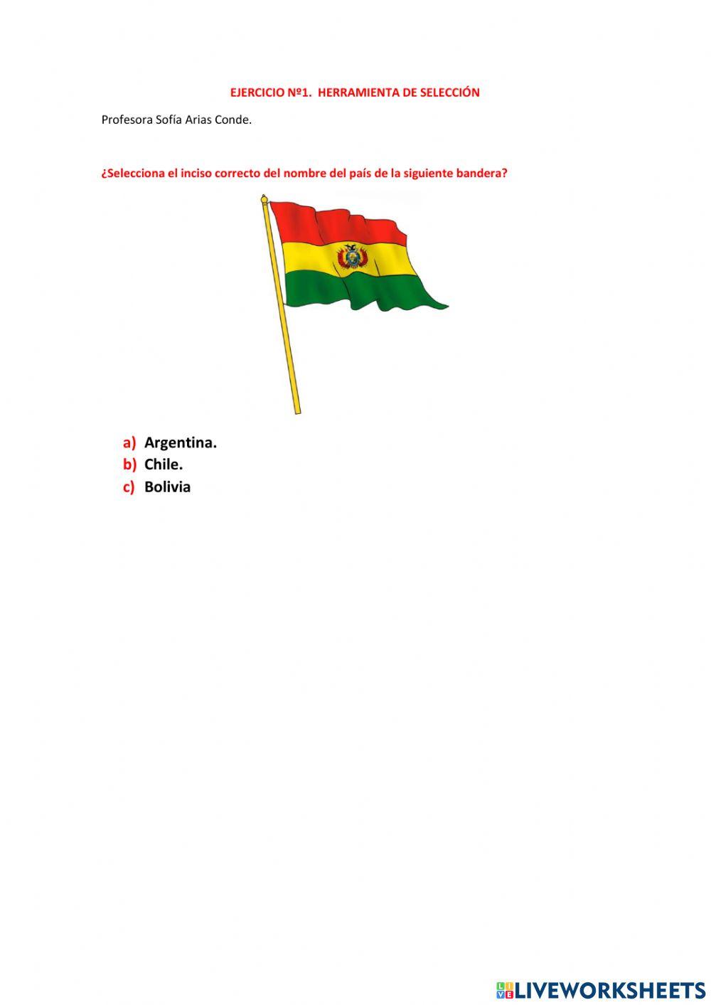 Mi bandera boliviana