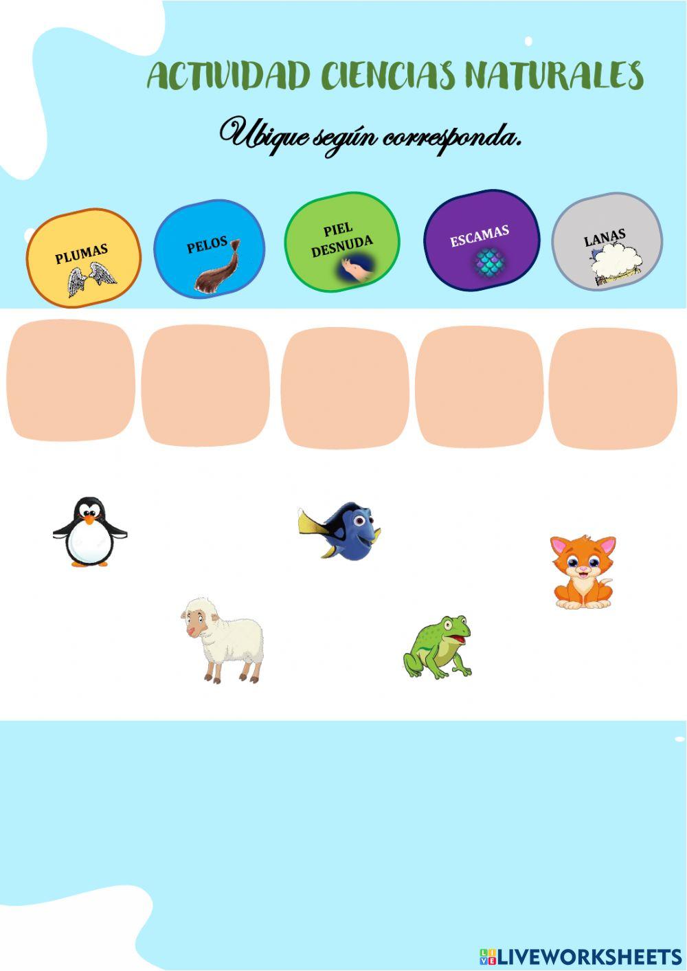 Característica de los animales