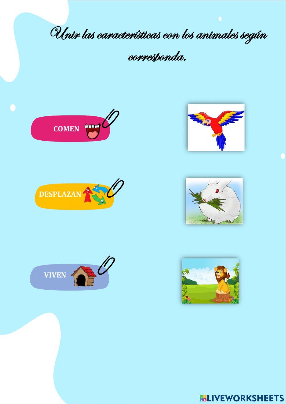 Característica de los animales