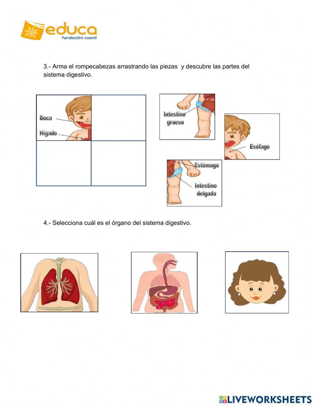 Guía de ciencias naturales