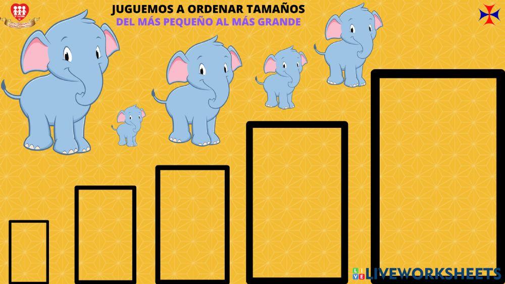 Ordenamos por tamaños