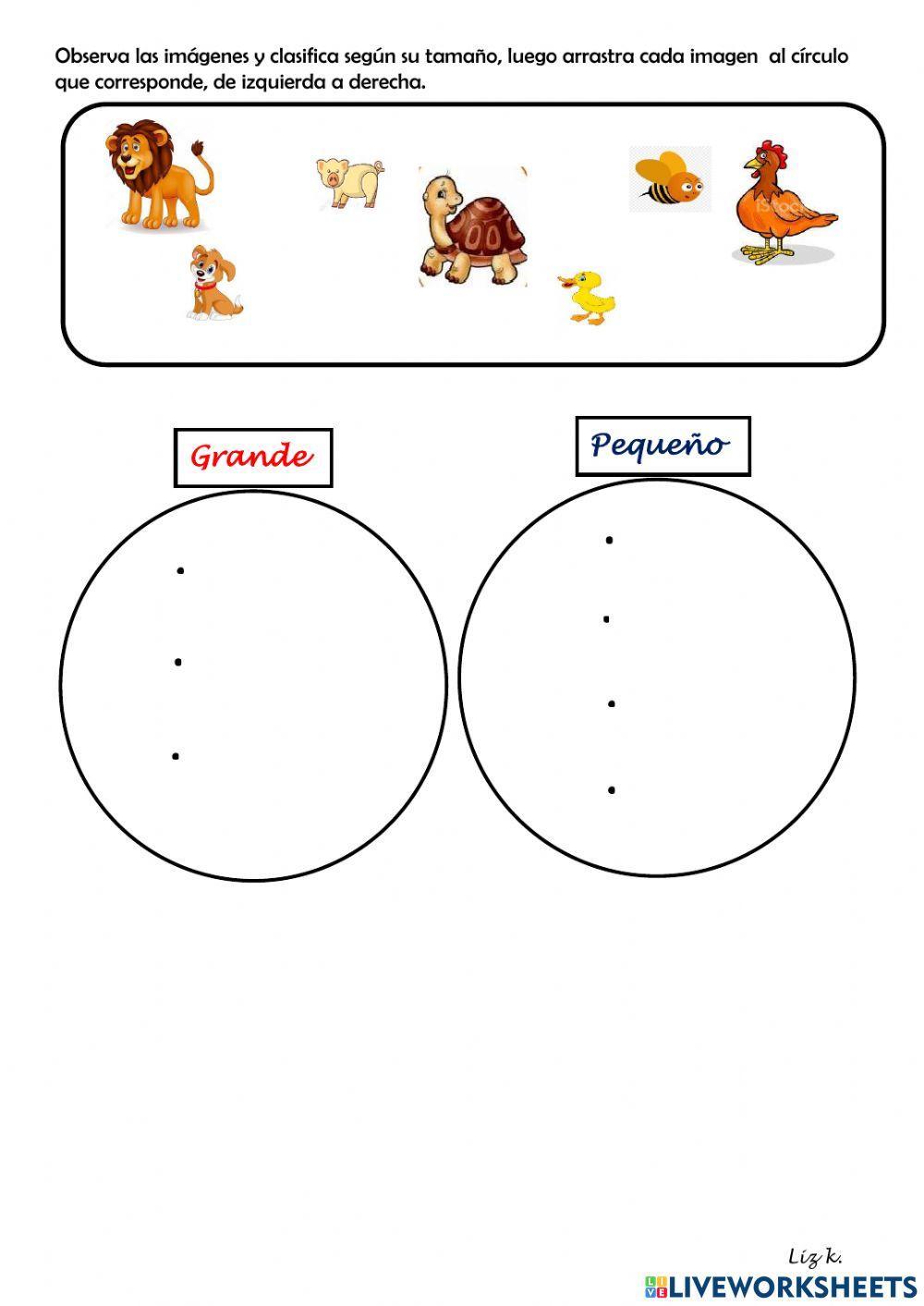 Clasificación por colores, formas y tamaño