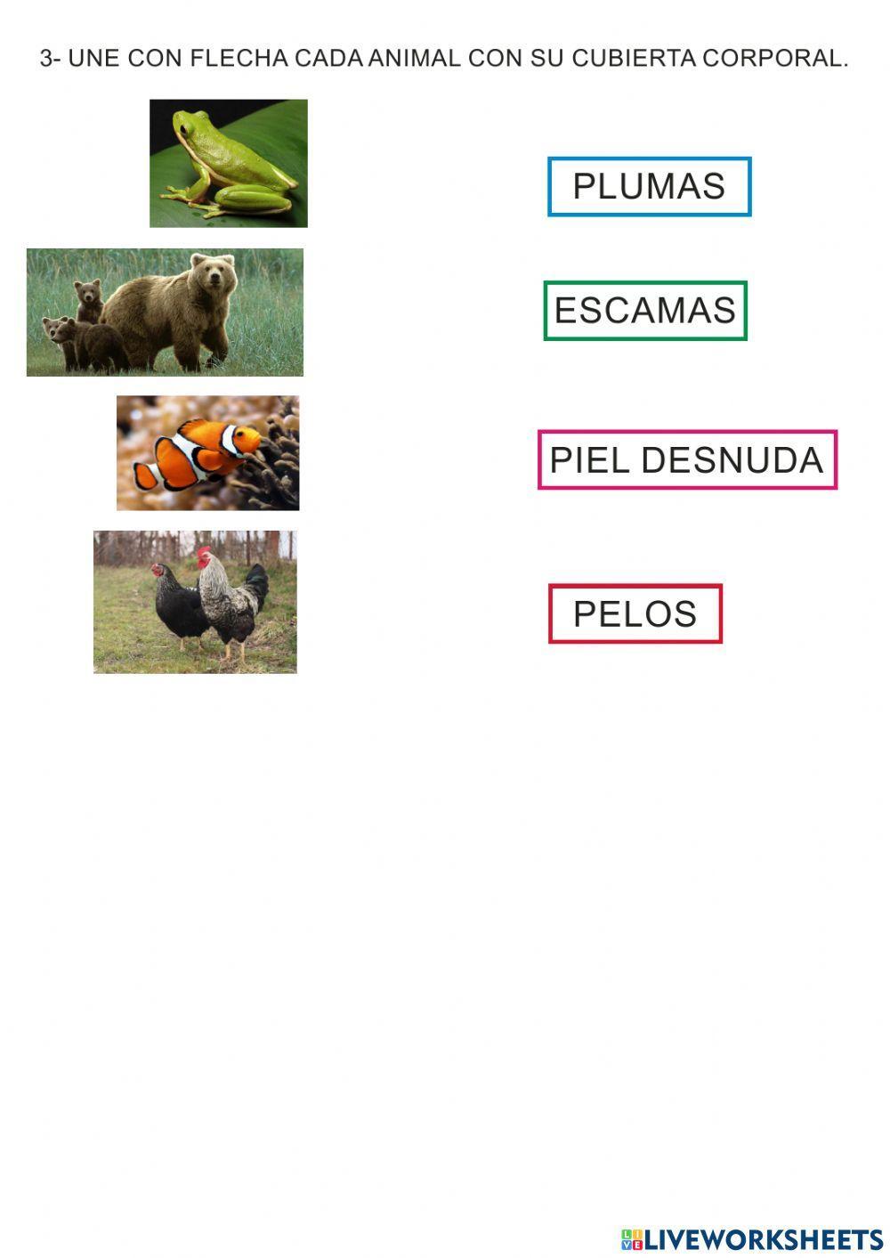 Piel de los animales