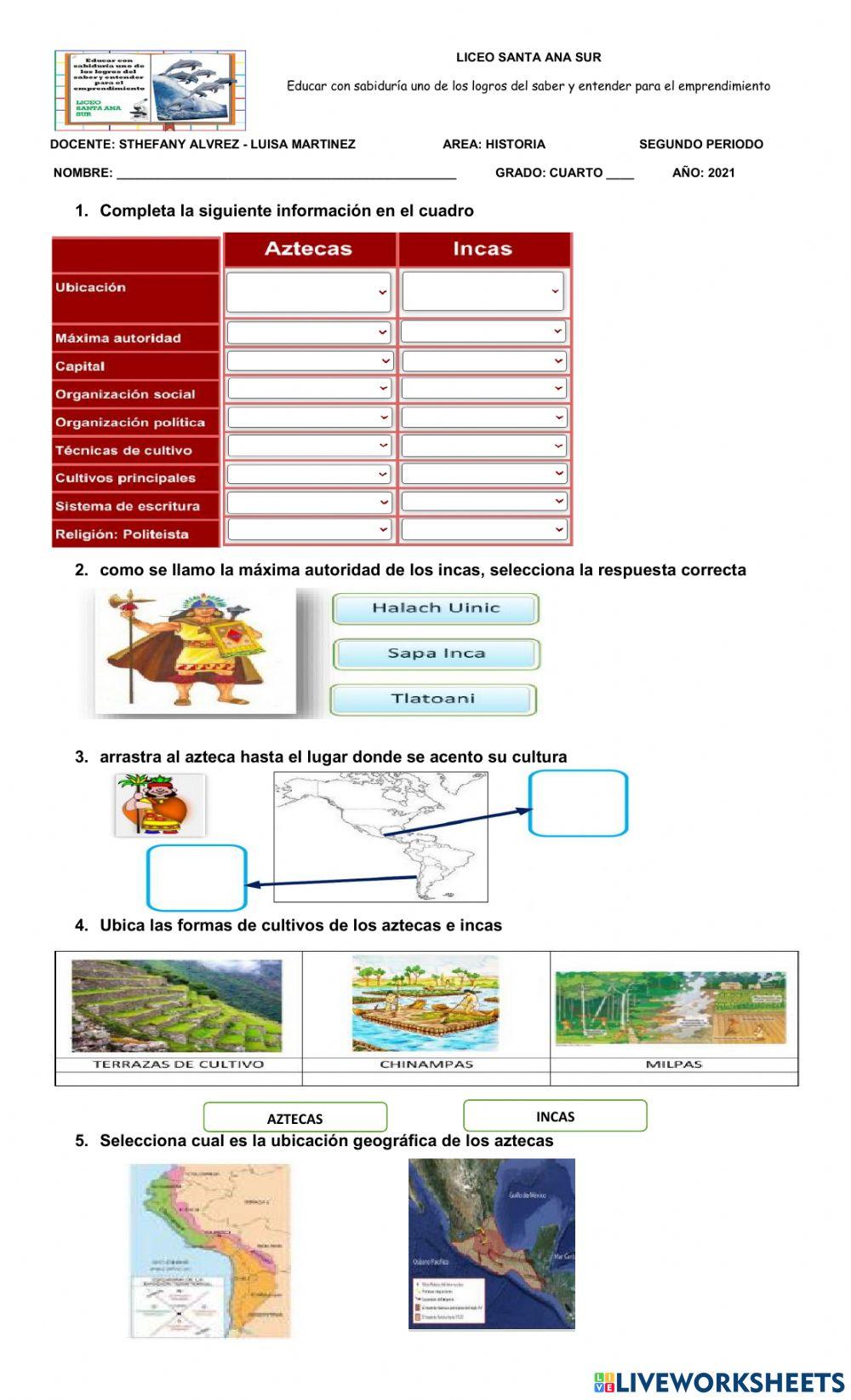 Bimestral sociales historia