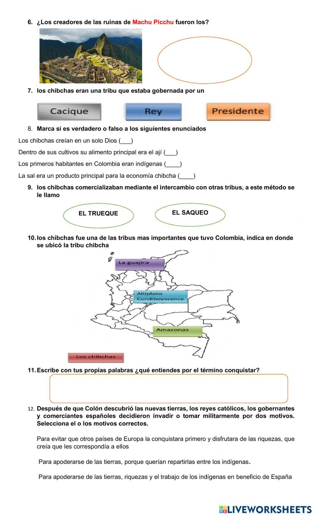 Bimestral sociales historia