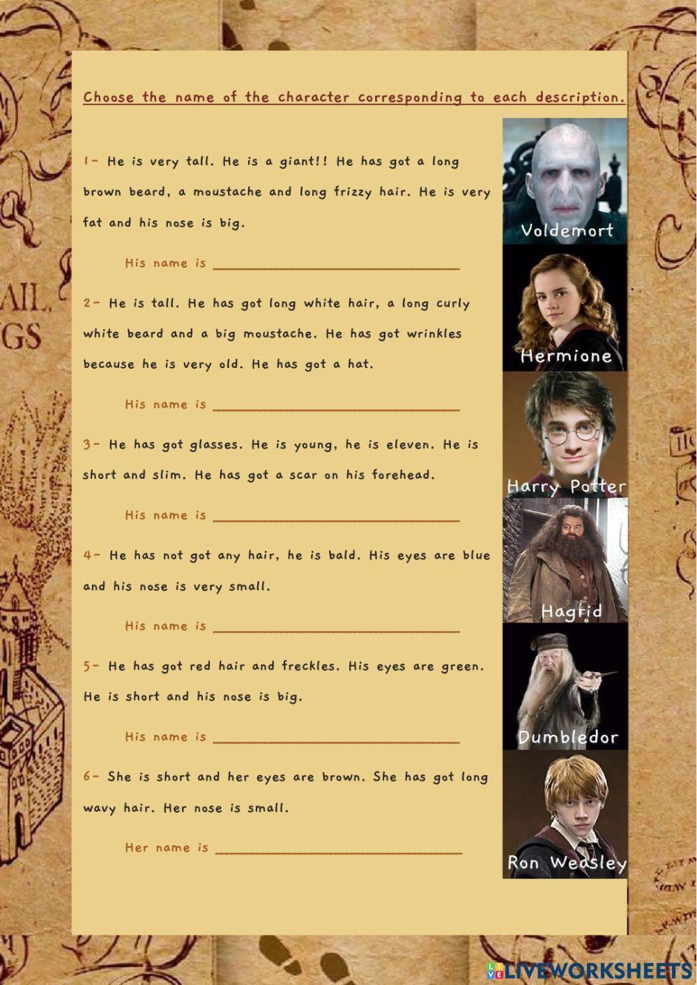 Harry Potter - Characters descriptions
