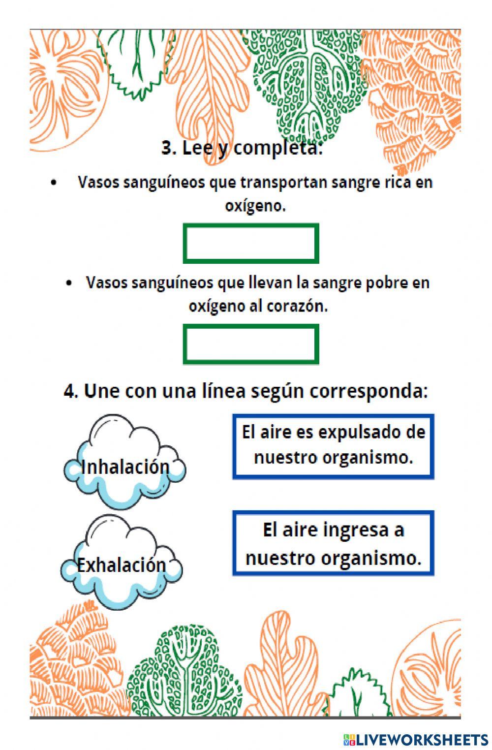 Evaluación de ciencias