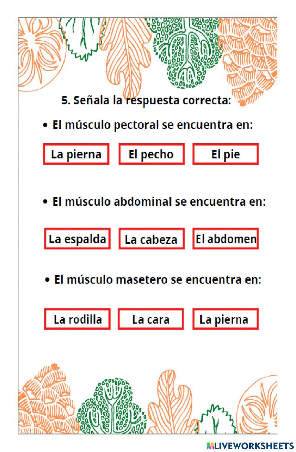 Evaluación de ciencias