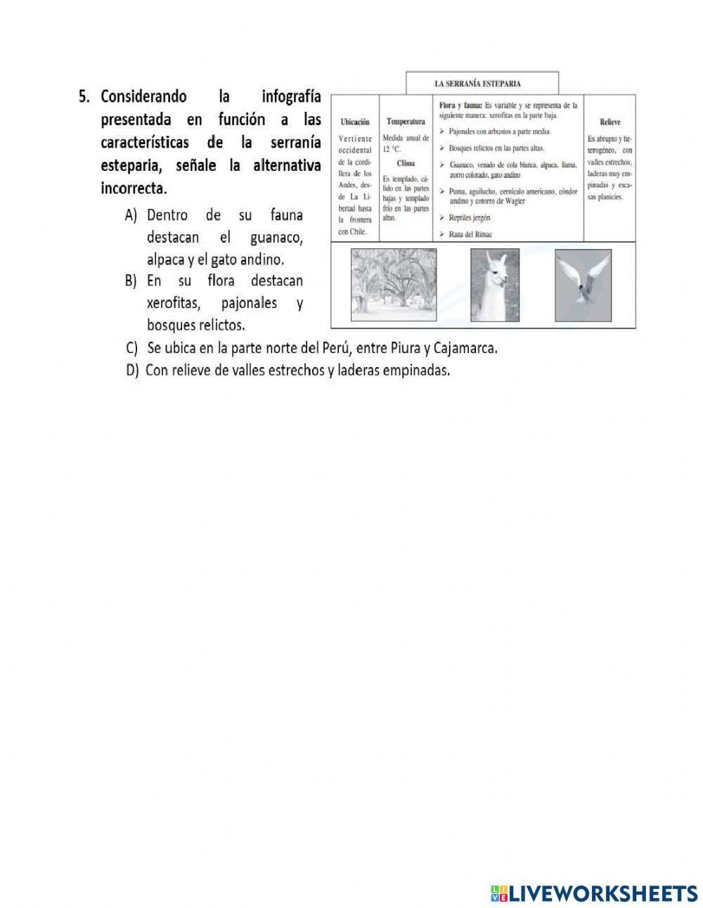 Ecorregiones Andinas