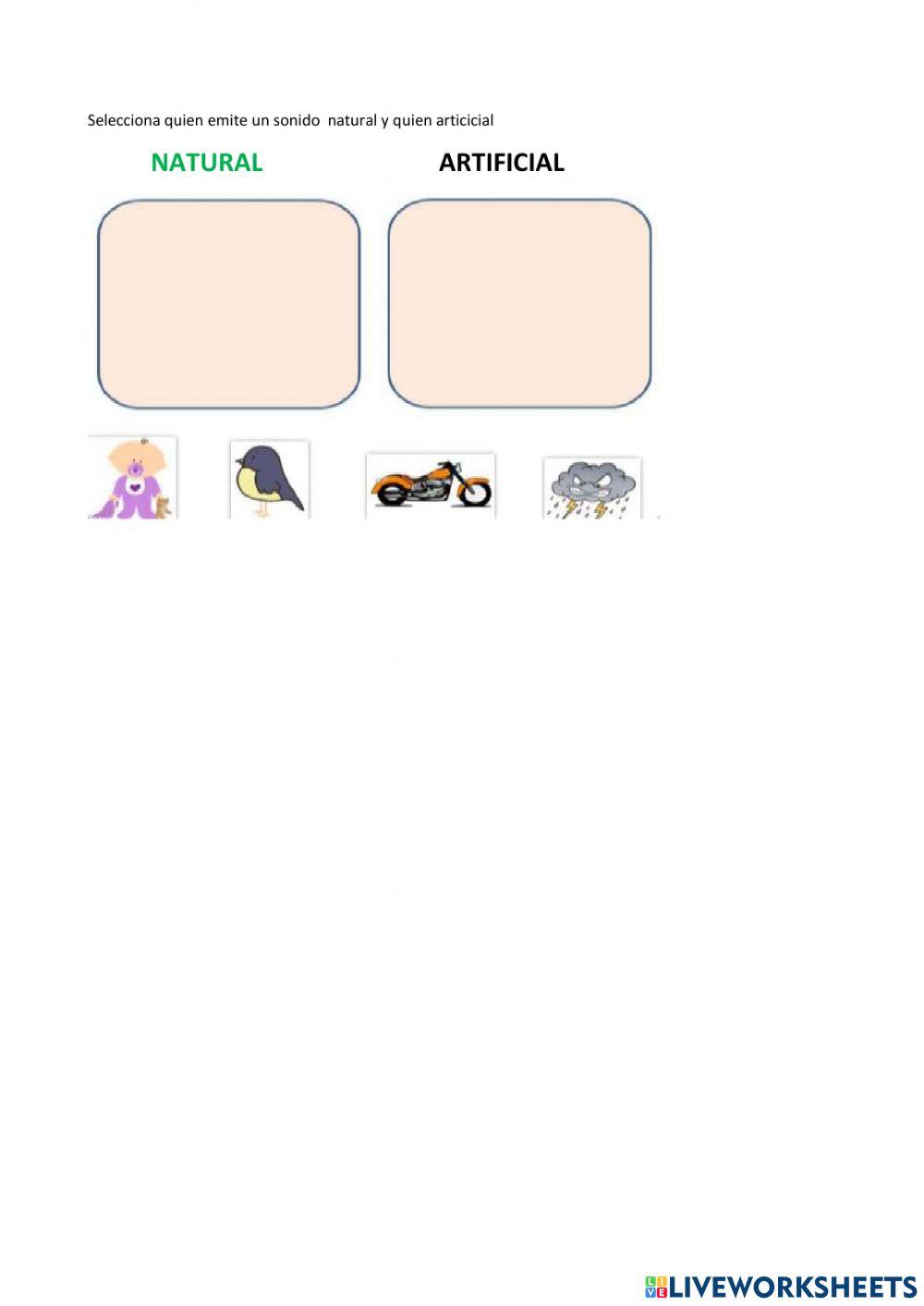 Entorno Natural y social