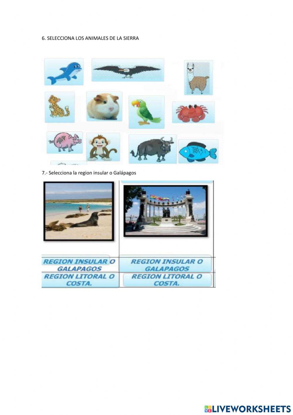 Identidad y autonomía