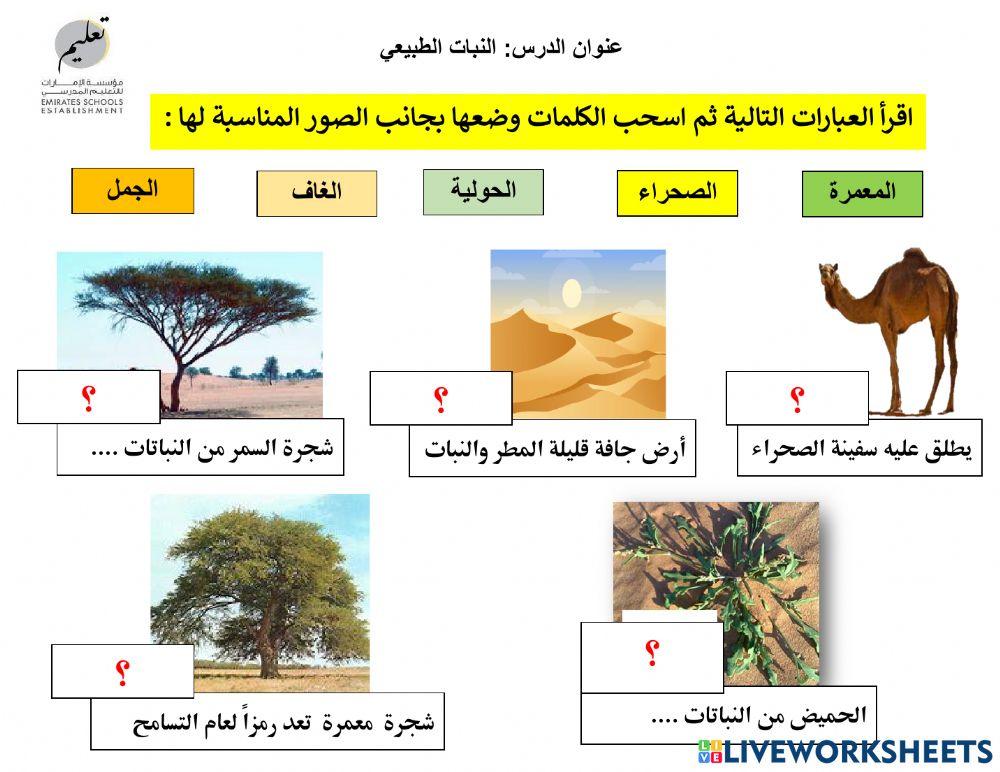 النبات الطبيعي