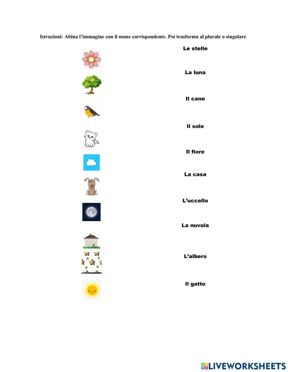 Articoli e Sostantivi