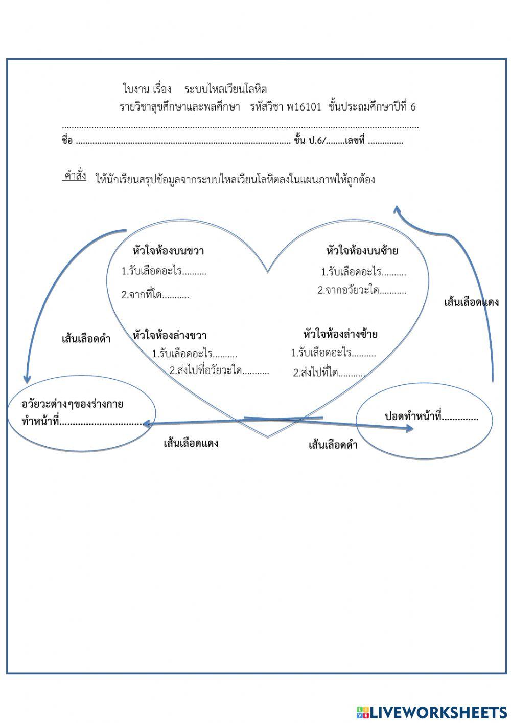 สุขศึกษา ป.6