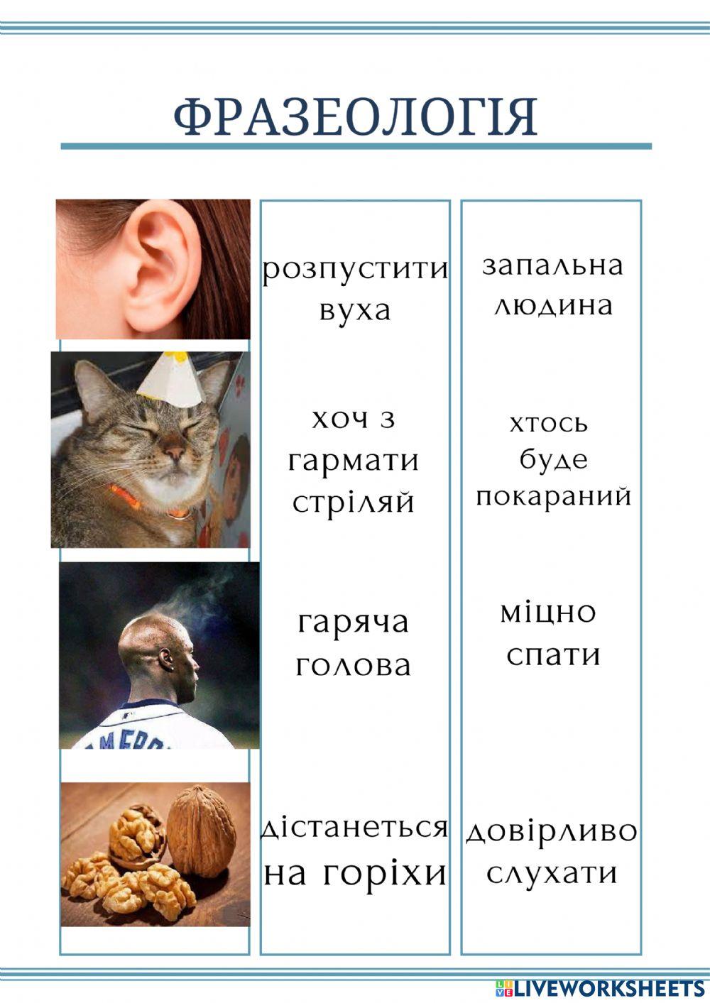 Фразеологія