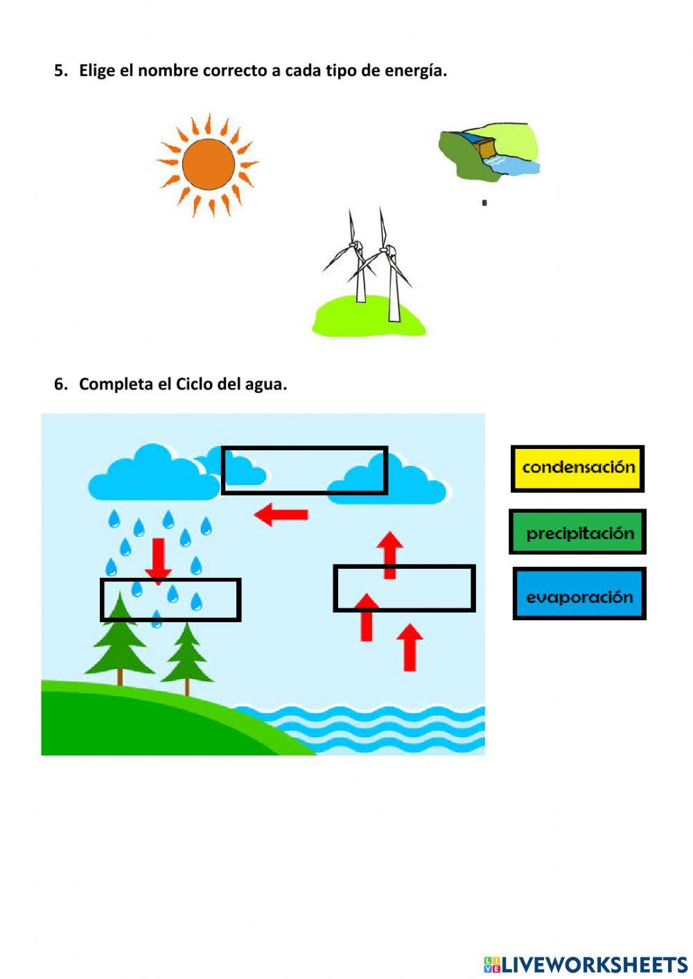 Repaso de naturales de segundo grado de primaria