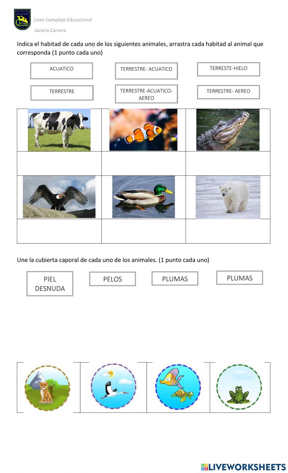 Evaluación Los seres vivos