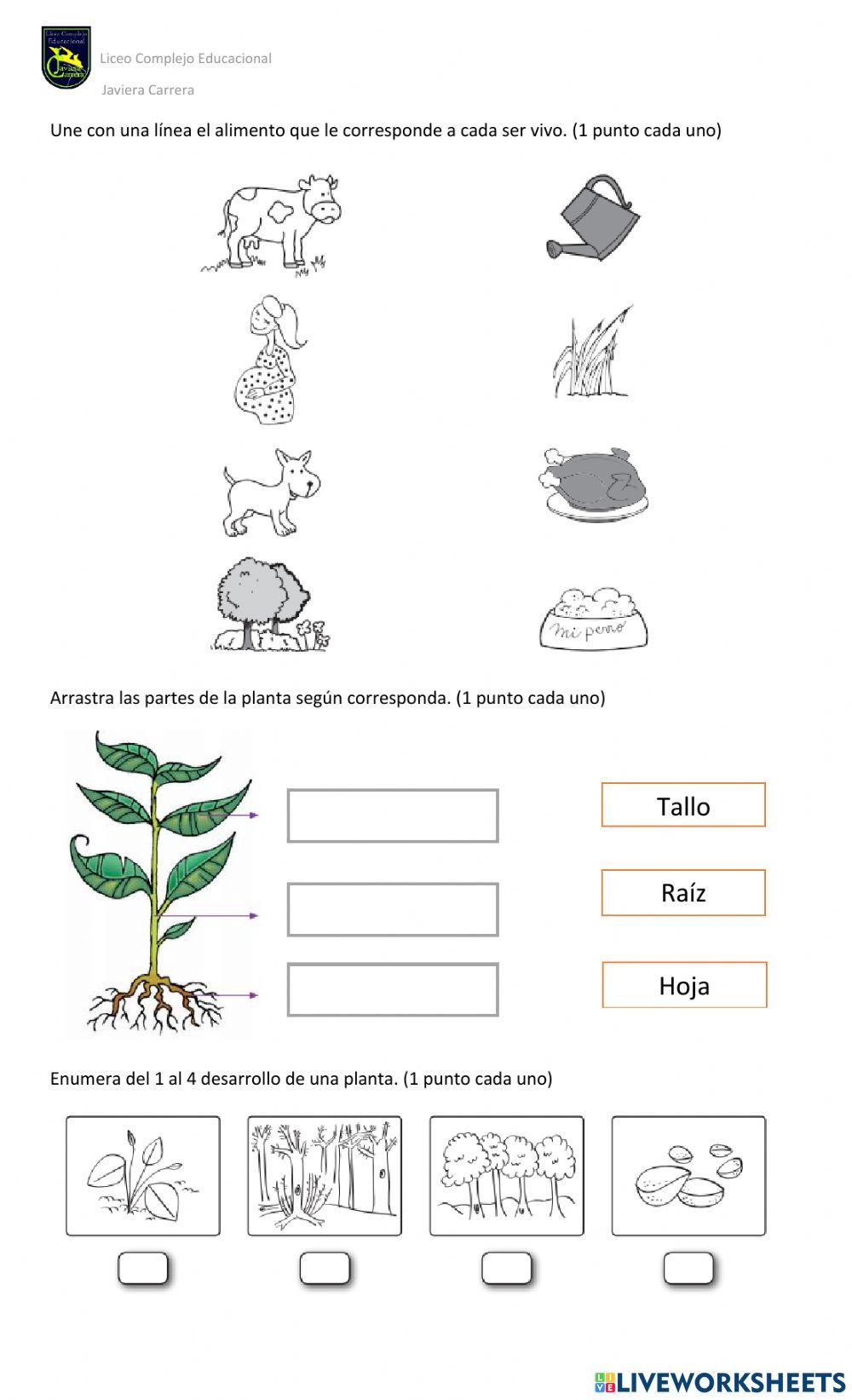 Evaluación Los seres vivos