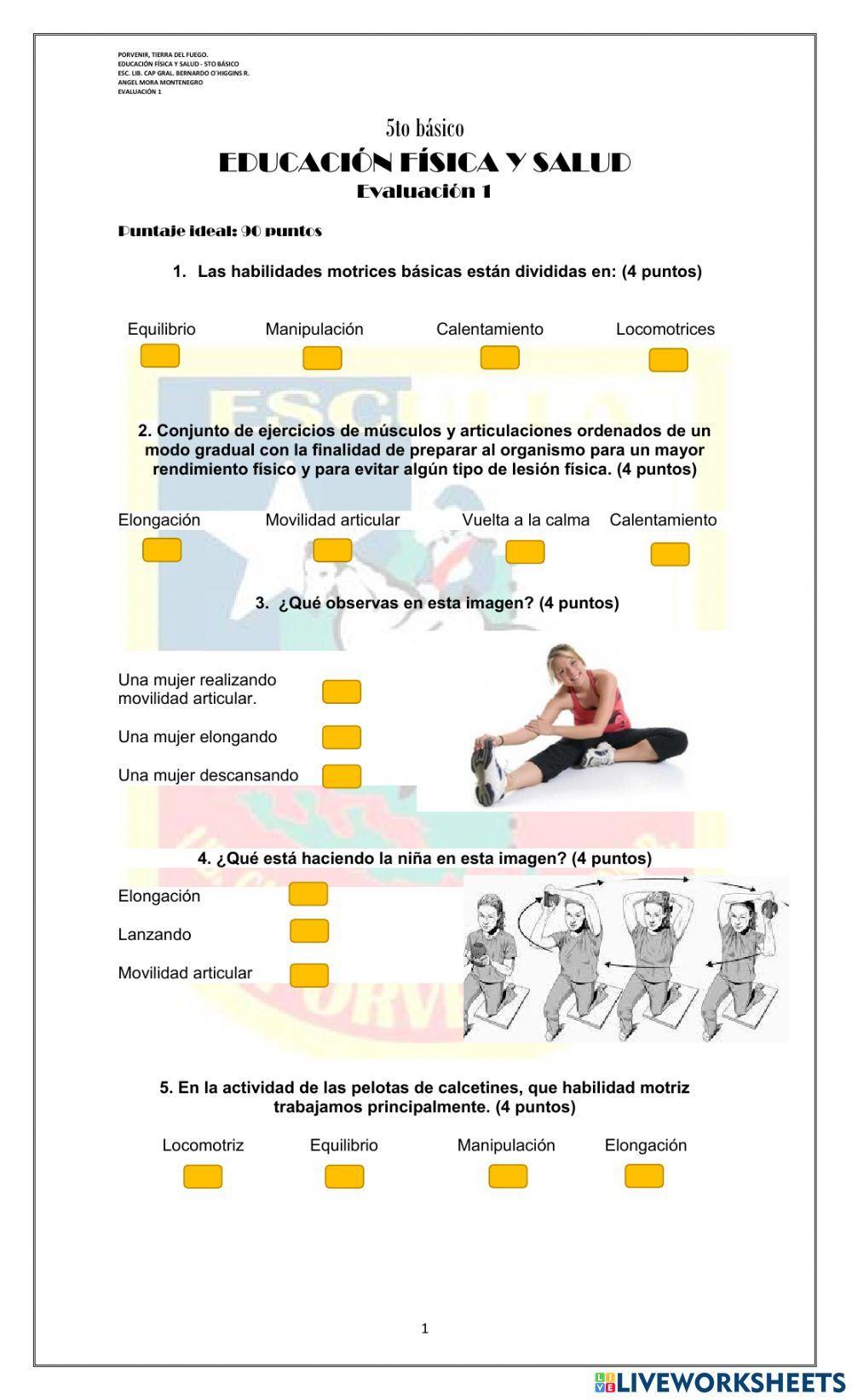 Evaluación 1 - 5tos básicos